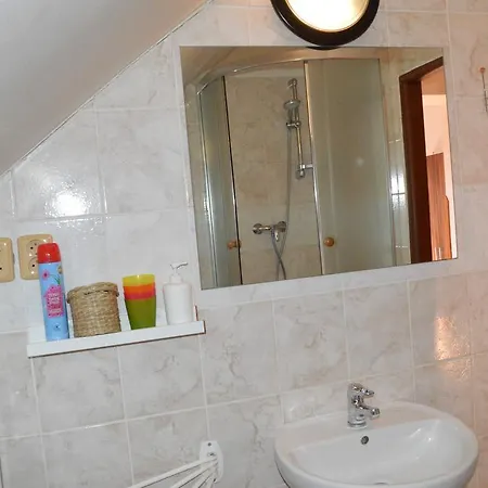 Gasthuis Restaurace A U Lva 3*