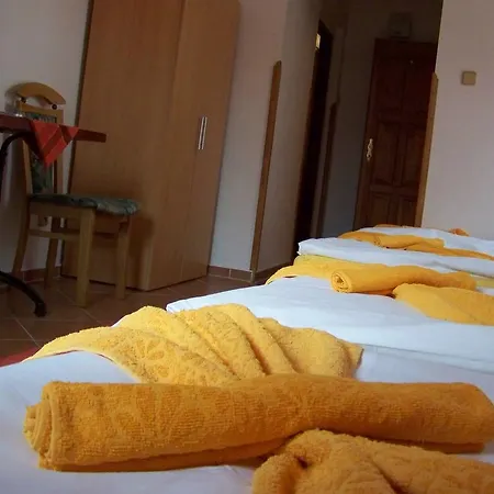 Gasthuis Restaurace A U Lva Karlštejn