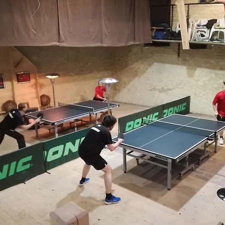 Restaurace A U Lva 3*