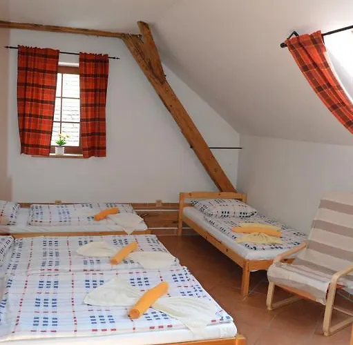 Penzion Restaurace A U Lva