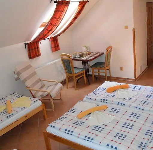 Penzion Restaurace A U Lva 3*