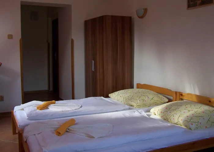 Restaurace A U Lva Penzion 3*