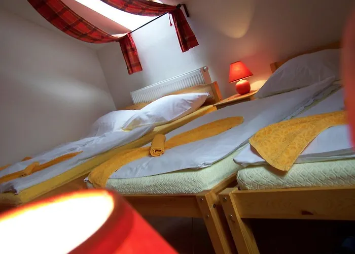 Restaurace A U Lva Πανσιόν 3*