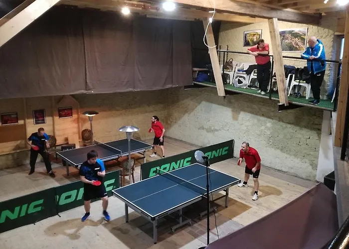 Restaurace A U Lva Penzion